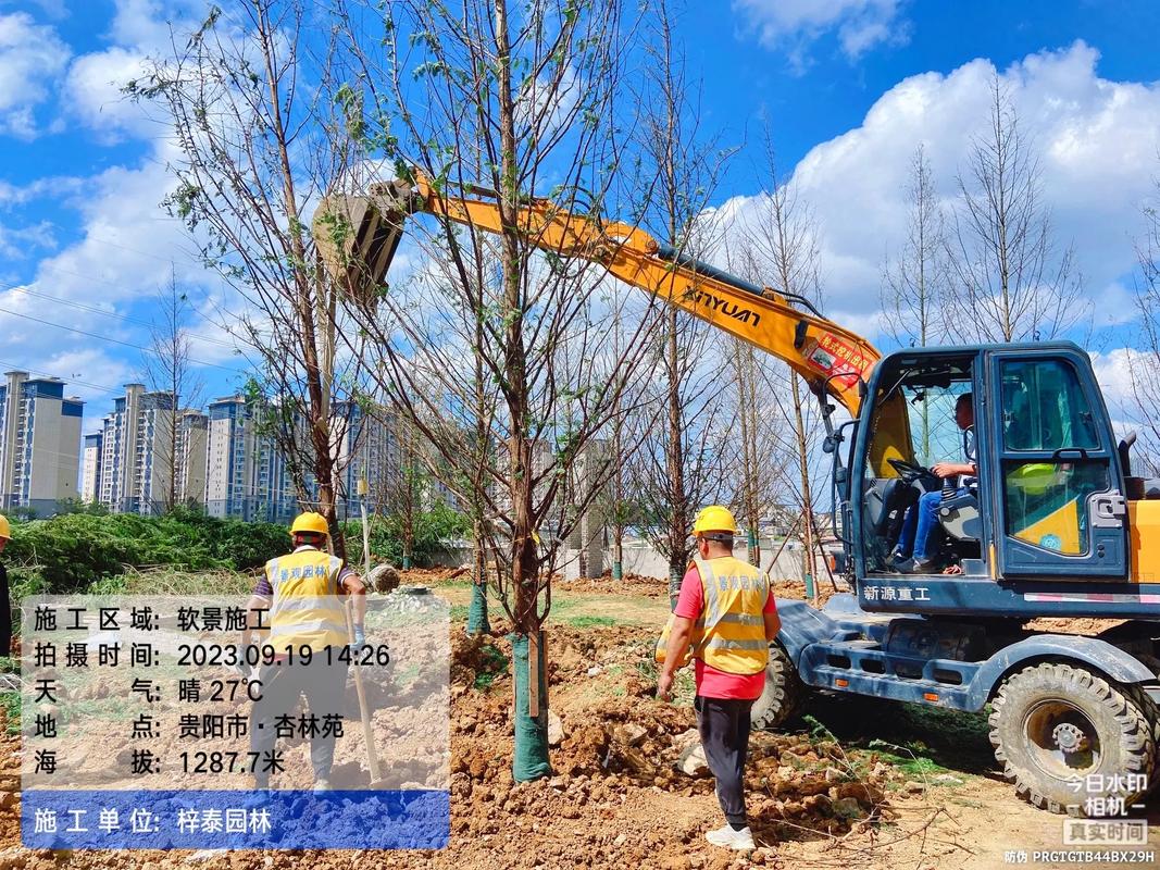 園林綠化的匠心構筑 從苗木培育到假山造景的施工現場實錄
