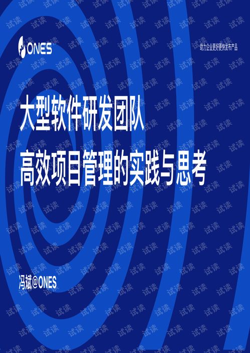 大型軟件研發(fā)團(tuán)隊(duì)高效項(xiàng)目管理的實(shí)踐與思考 以教育軟件為例